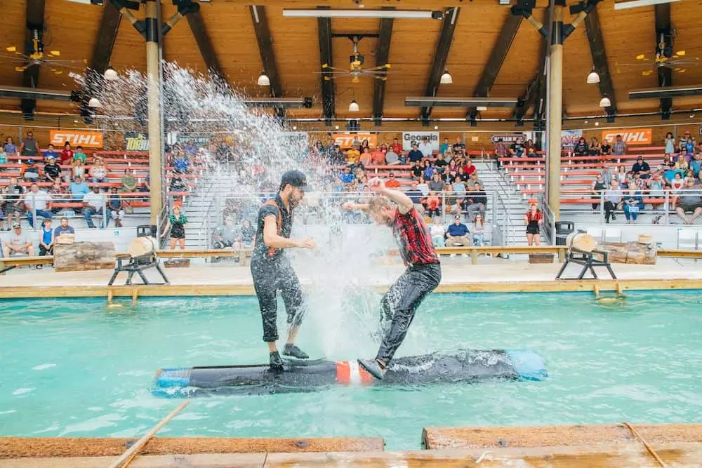 4 Shops You Need to Visit in Lumberjack Square in Pigeon