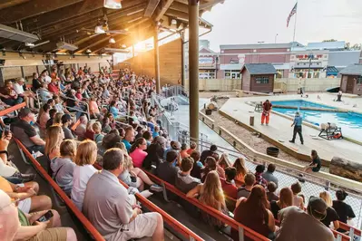 people watching paula deen's lumberjack feud