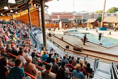 audience watching lumberjack show