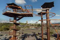 timber towers and flying ox