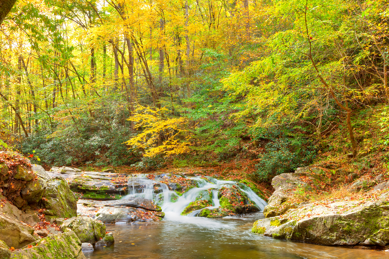fall in the smoky mountains