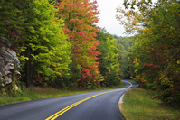 fall in the smokies