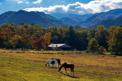 fall in cades cove