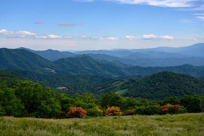 summer in the smoky mountains