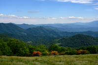 summer in the smoky mountains