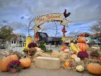 Fall Decor at The Island