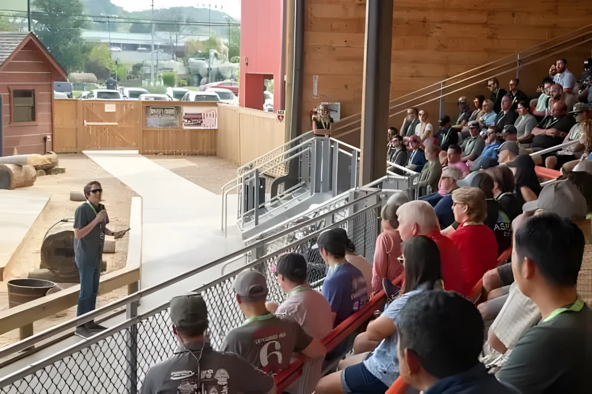 crowd watching the Lumberjack Feud Show