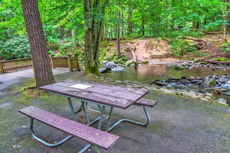 picnic area